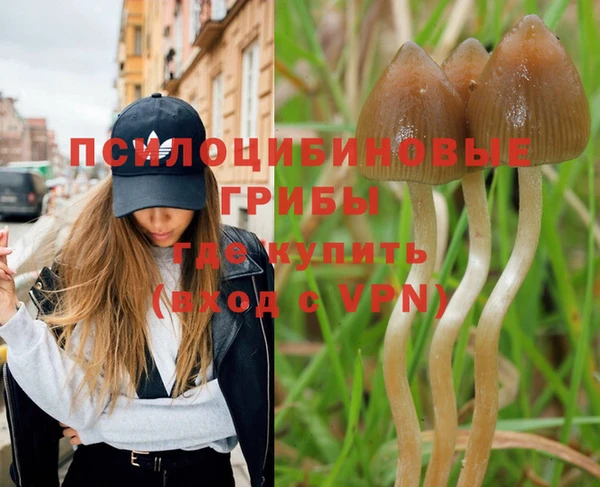 кокаин Белокуриха