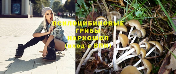 MESCALINE Богданович