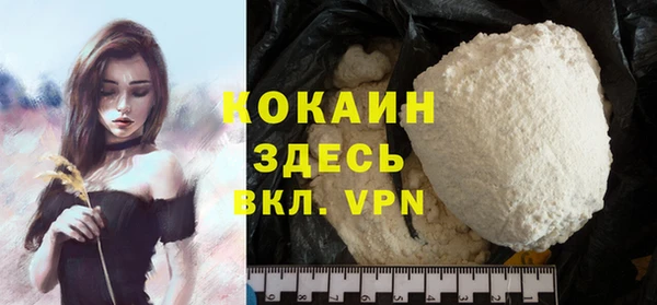 тгк Богородицк