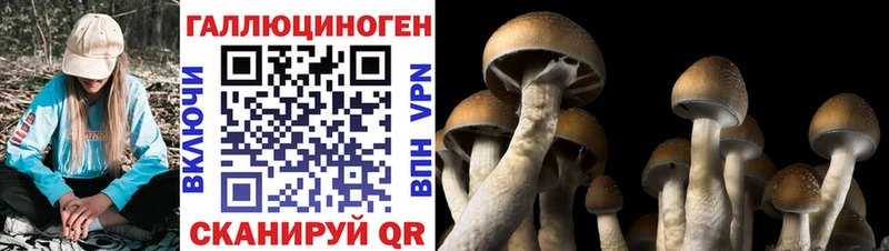 Галлюциногенные грибы ЛСД  Фёдоровский 